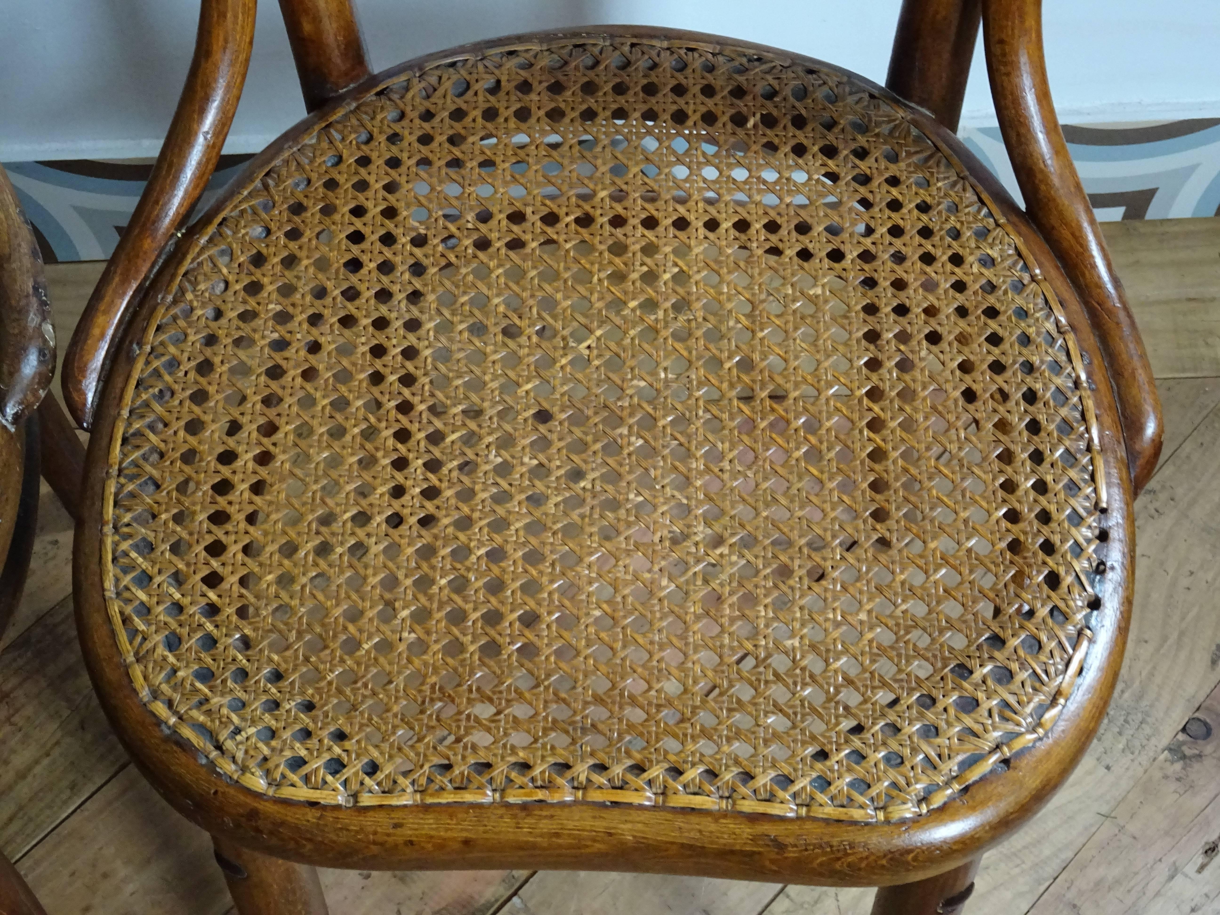 French Thonet Style Bistro Chairs, Early 20th Century, Set of Two For Sale 5