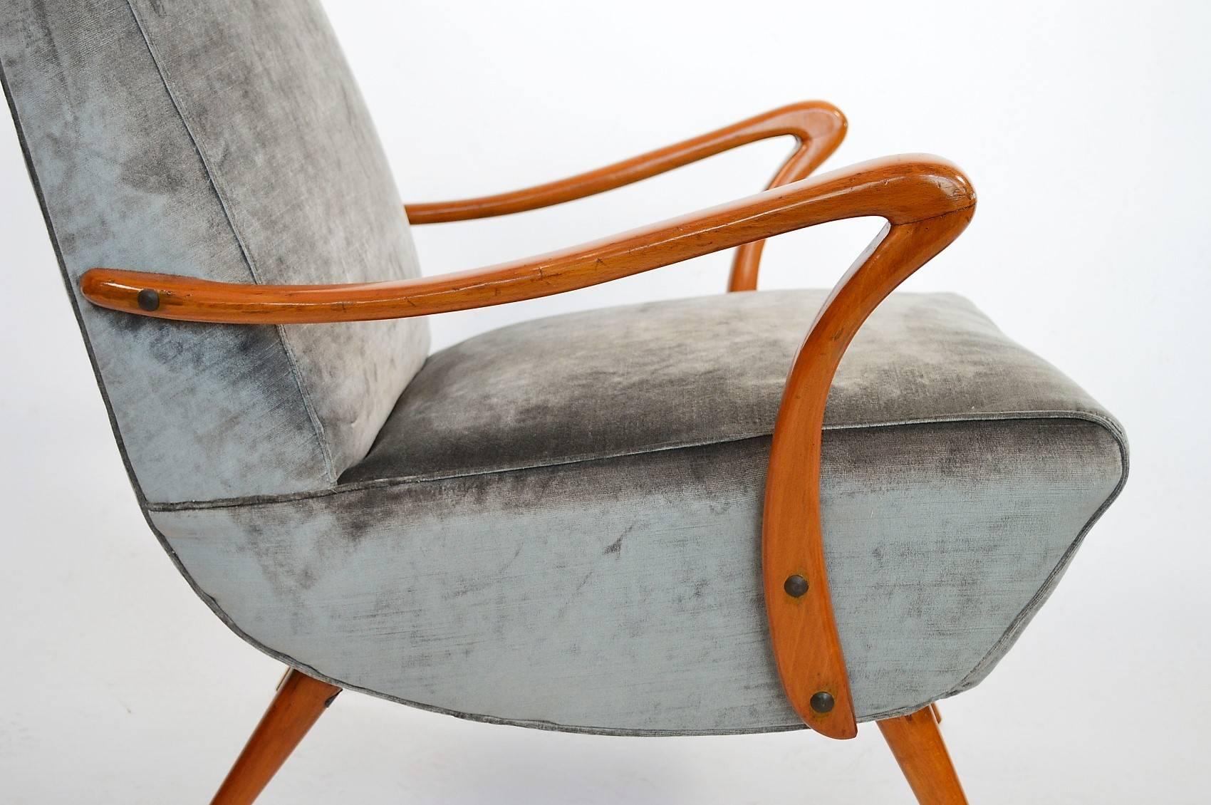 20th Century Italian Midcentury Beech and Silver-Grey Velvet Armchair Reupholstered, 1950s