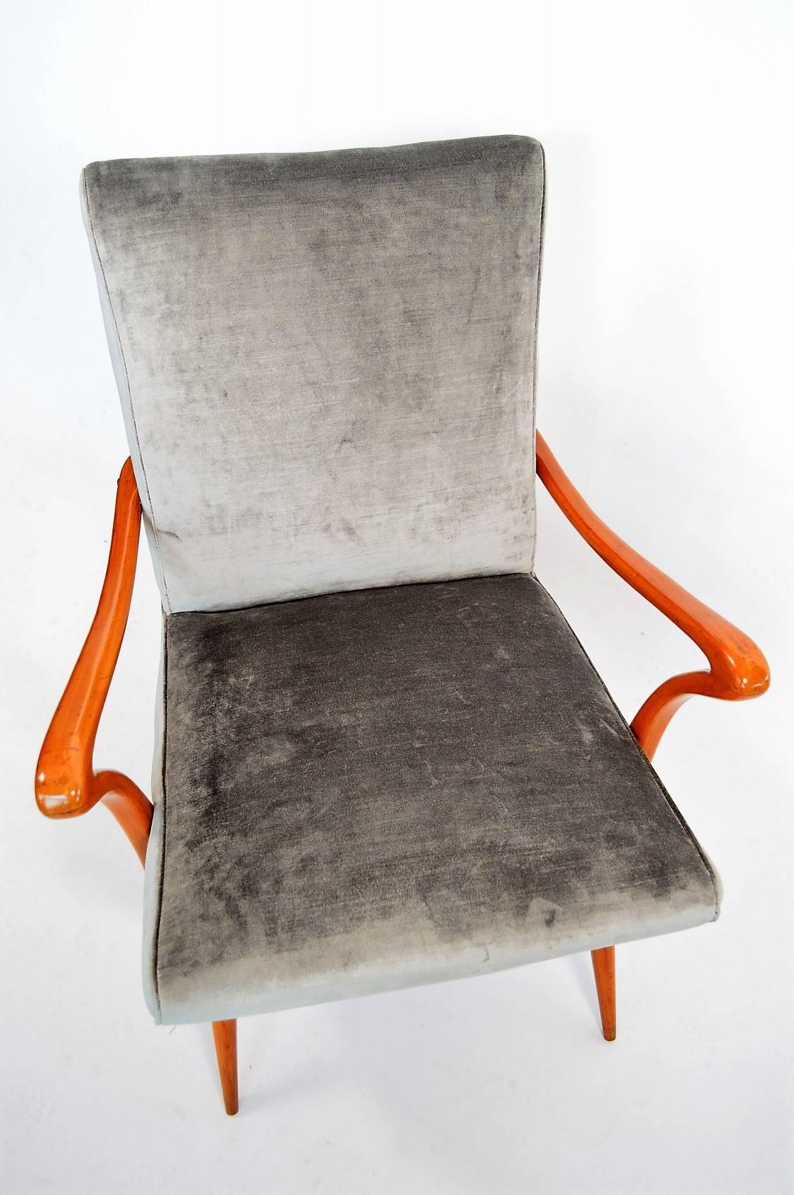 Italian Midcentury Beech and Silver-Grey Velvet Armchair Reupholstered, 1950s 3