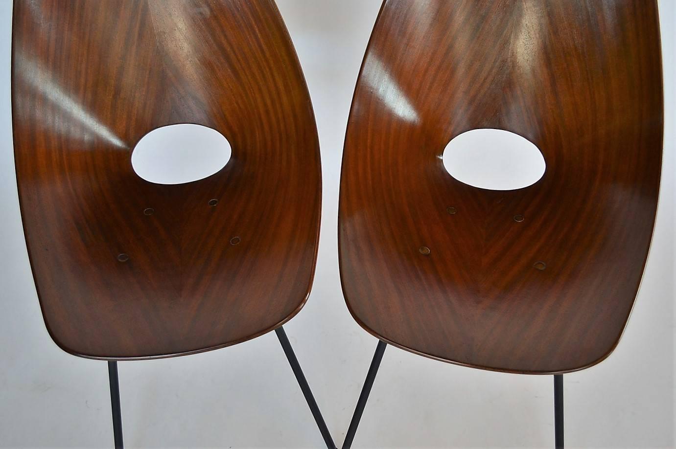 Metal Medea Mahogany Chairs by Vittorio Nobili, Fratelli Tagliabue, Italy, 1955