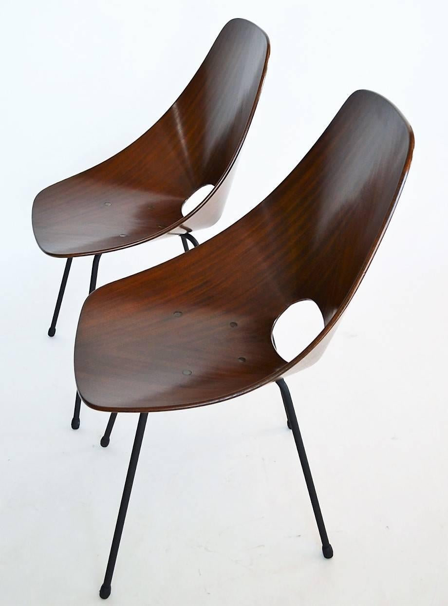 Mid-20th Century Medea Mahogany Chairs by Vittorio Nobili, Fratelli Tagliabue, Italy, 1955