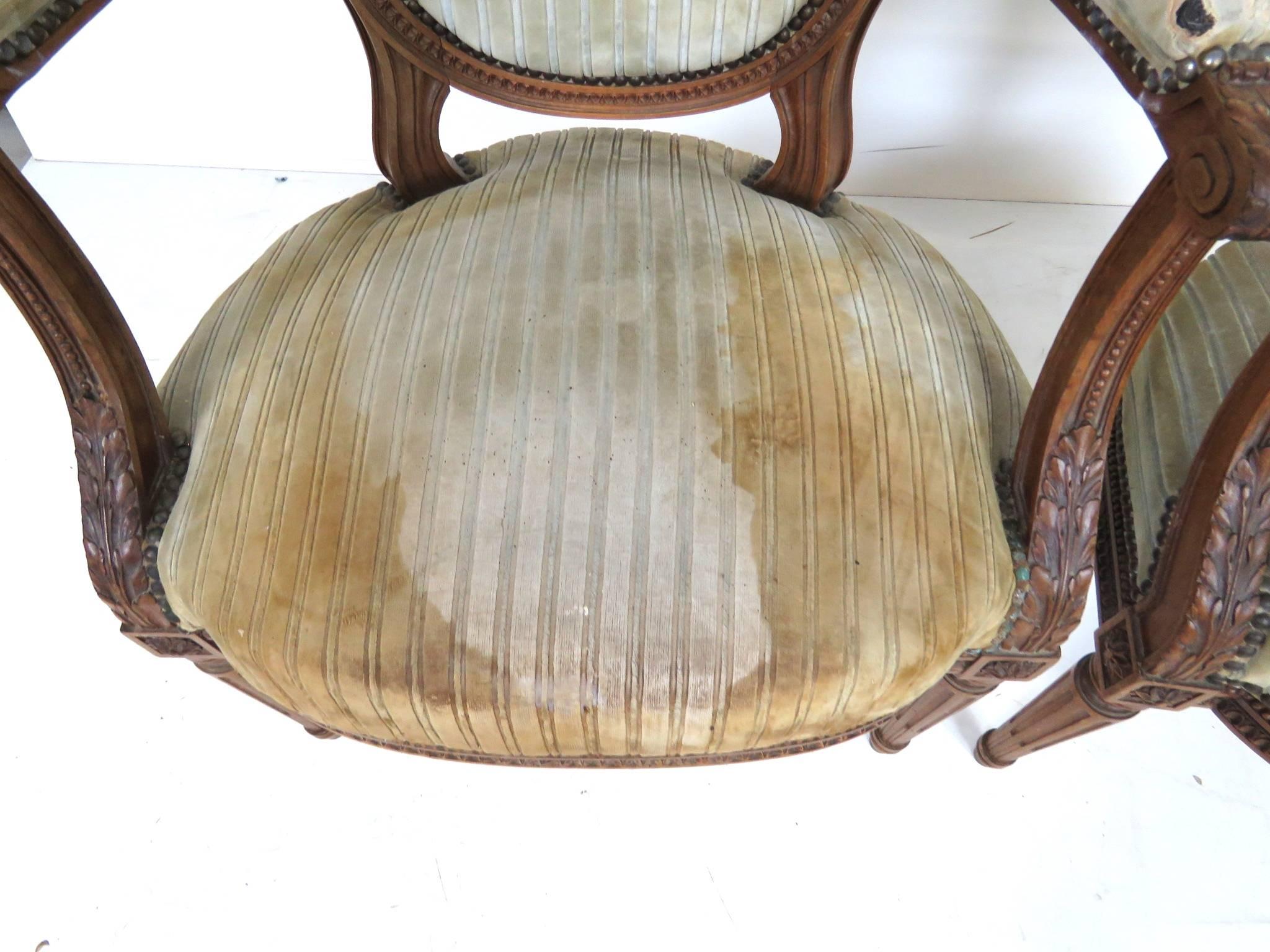 20th Century Pair of Antique Louis XVI Style Carved Walnut Fauteuils Arm Chairs For Sale
