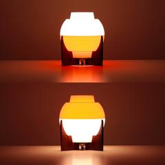 Spika Table Lamp, Bent Karlby for Ask Belysning, 1971, Acrylic and Rosewood Lamp