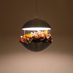 RS 25 by Poul Cadovius, HF Belysning, Royal System, 1968 Aluminum Flower Lamp