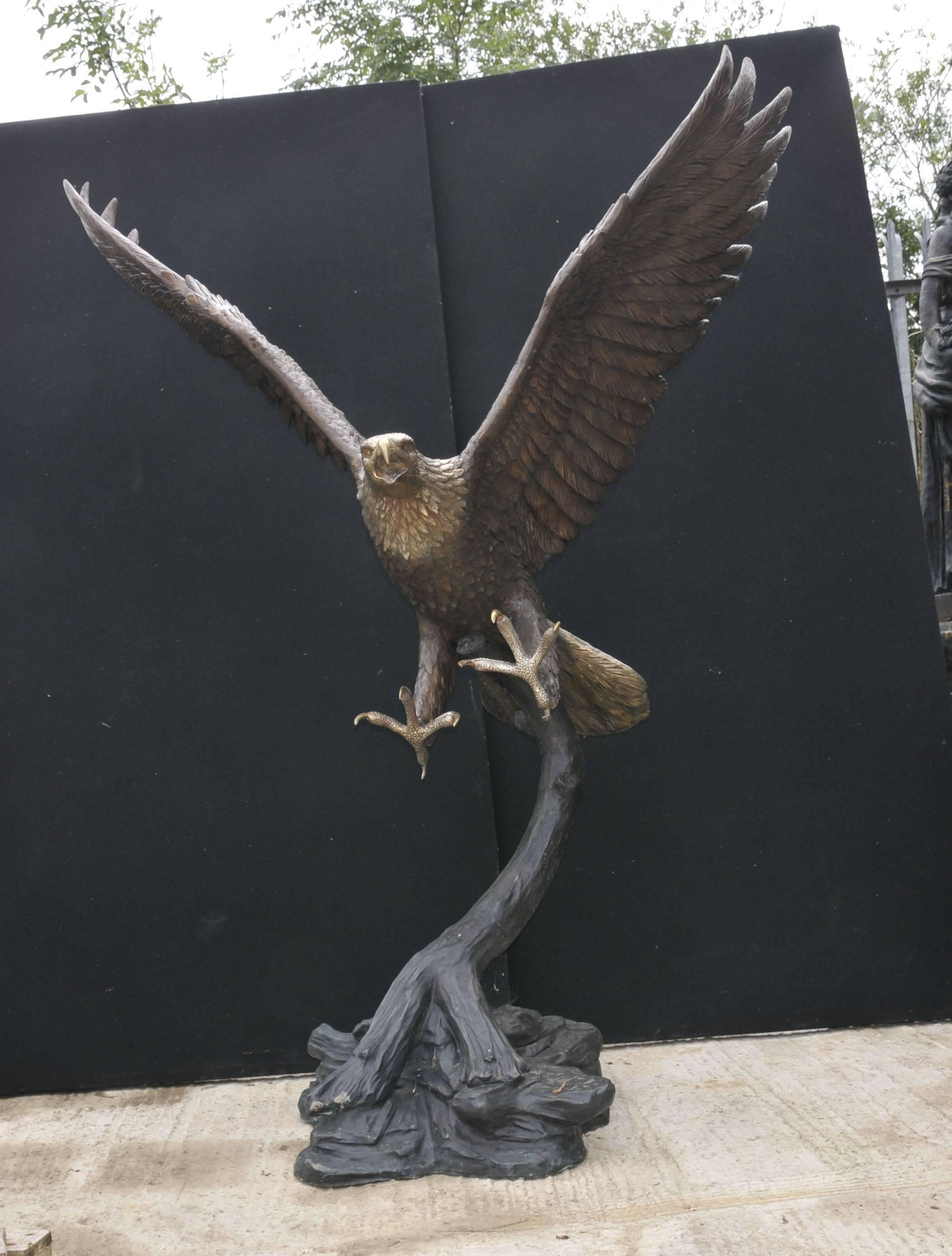 Large bronze statue of an American bald eagle.
At just under three feet tall good size to this beautiful bird of prey.
Love the patina to the different colored bronze.
This has been made using the lost wax method so true bronze.
Love the texture