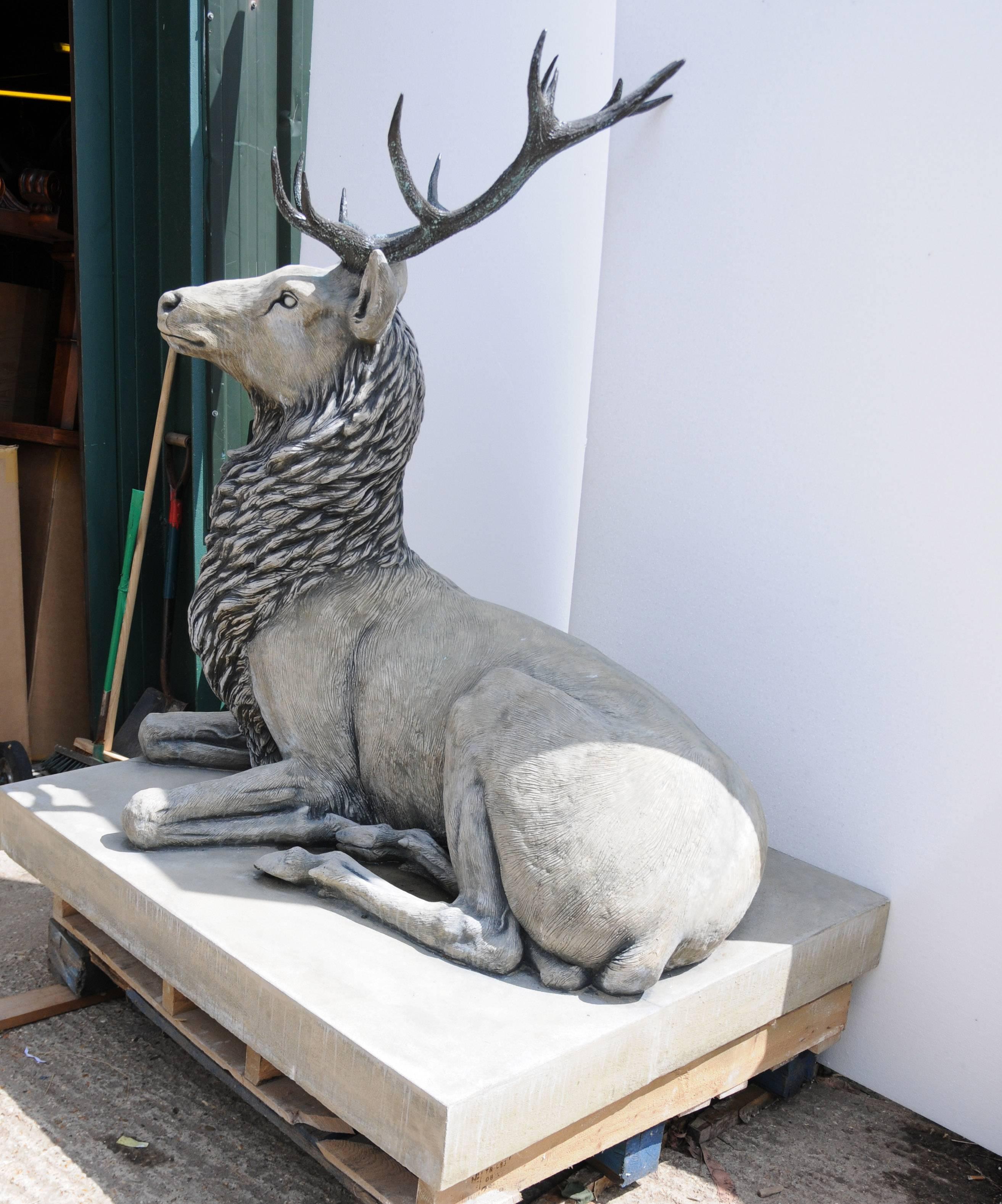 Lifesize Stone Bronze Scottish Stag Xl Elk For Sale 3
