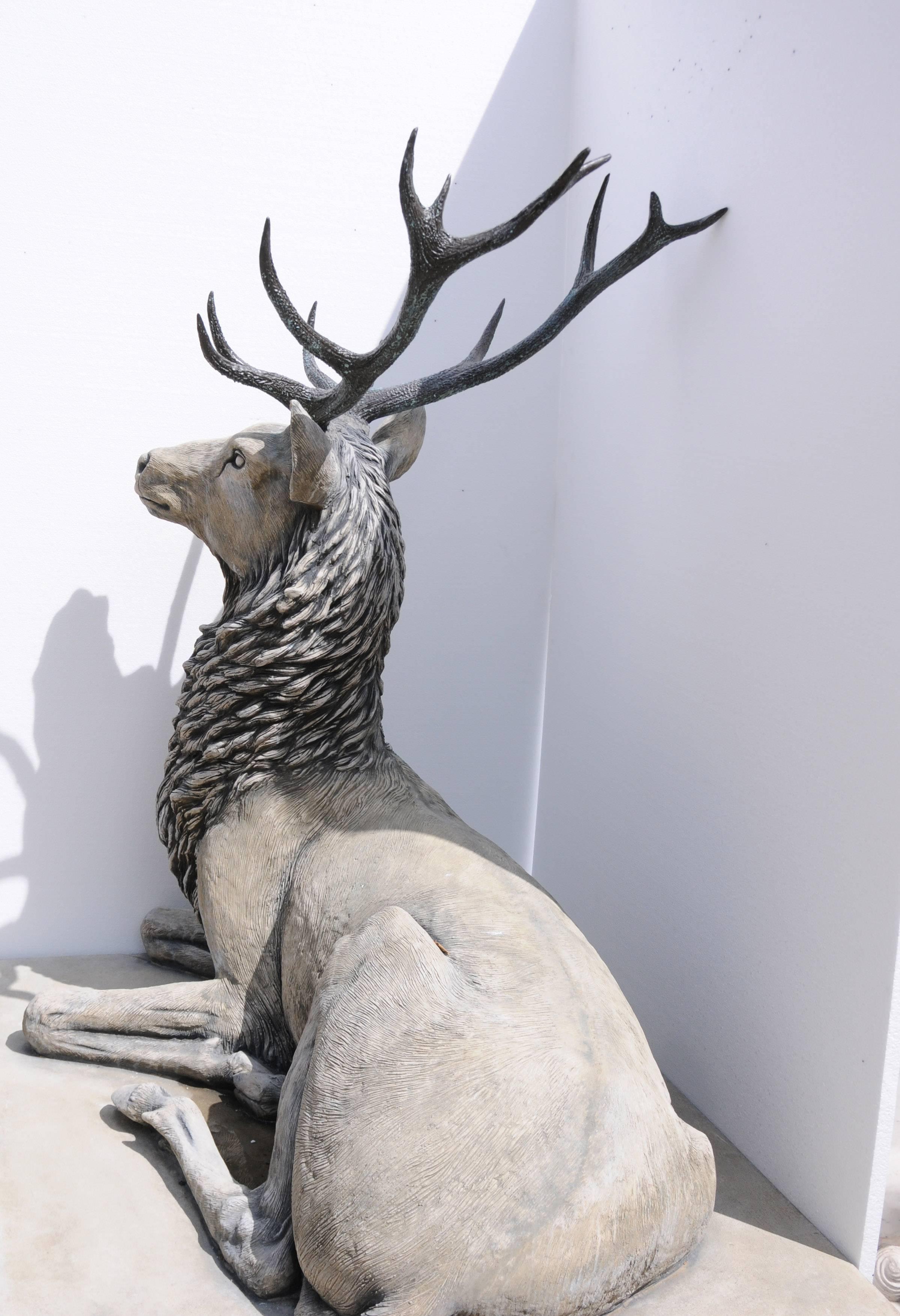 Lifesize Stone Bronze Scottish Stag Xl Elk For Sale 5