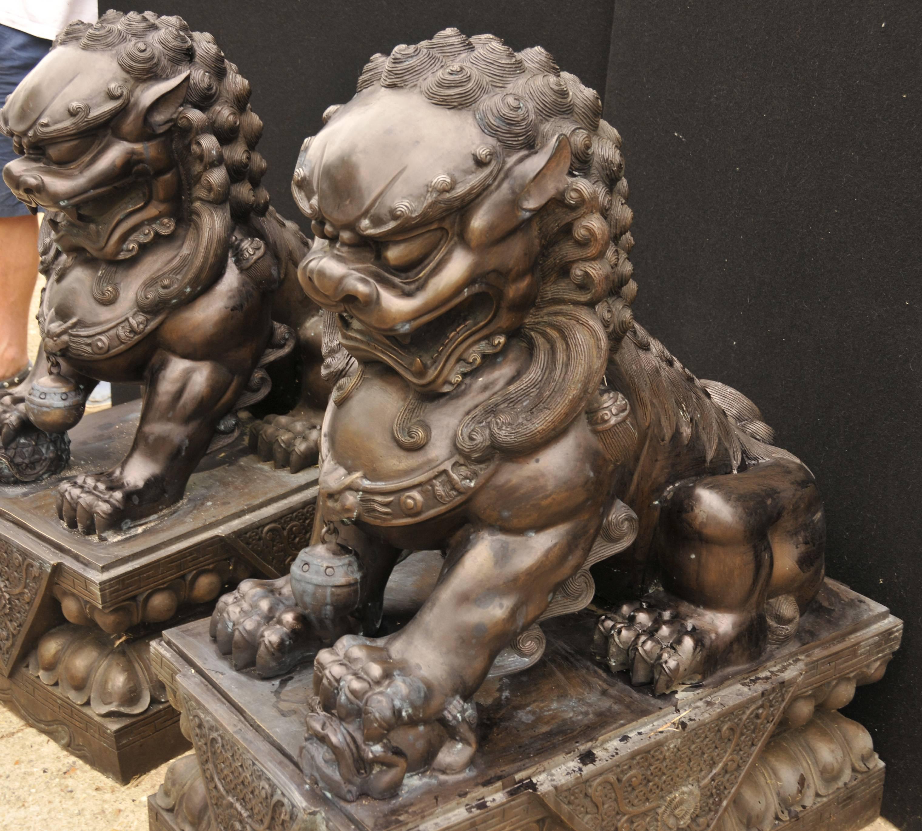 Late 20th Century Pair of Extra Large Bronze Chinese Foo Dogs Keiloon Fu Temple Statue For Sale