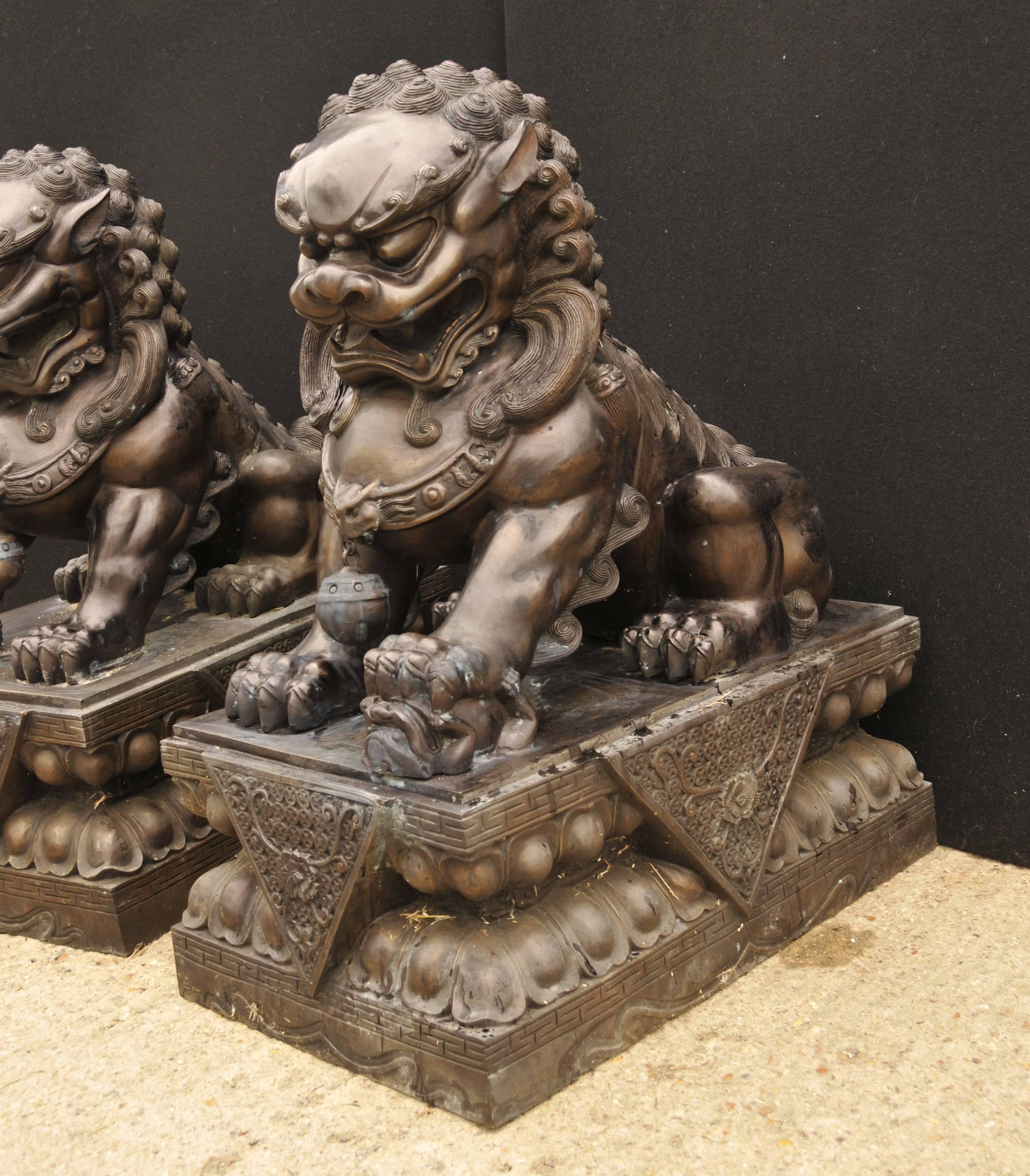 Pair of Extra Large Bronze Chinese Foo Dogs Keiloon Fu Temple Statue For Sale 1