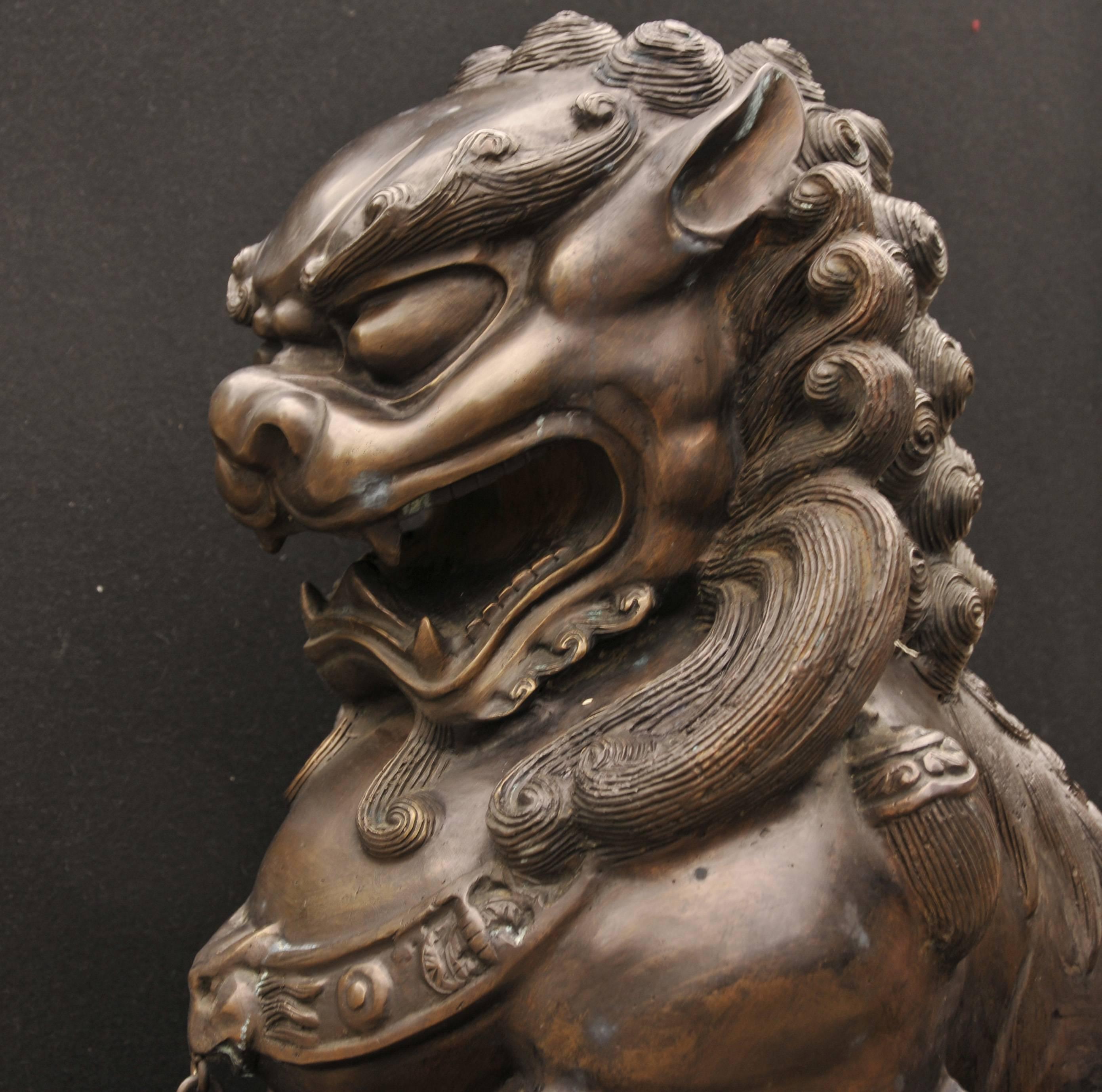 Pair of Extra Large Bronze Chinese Foo Dogs Keiloon Fu Temple Statue For Sale 3