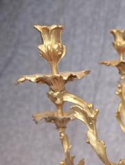 Pair of Large Victorian Style Ormolu Rococo Candelabras Bronze Candles