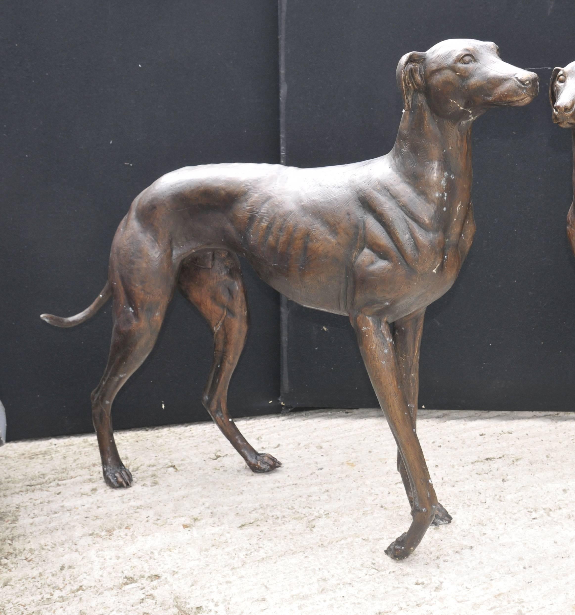 Pair of gorgeous lifesize bronze greyhound dogs in the Art Deco manner.
Elegant and lithe the greyhound is the perfect Art Deco dog.
Lovely patina to the bronze and of course these can live outside with no fear of rusting.
Perfect for the lawn or