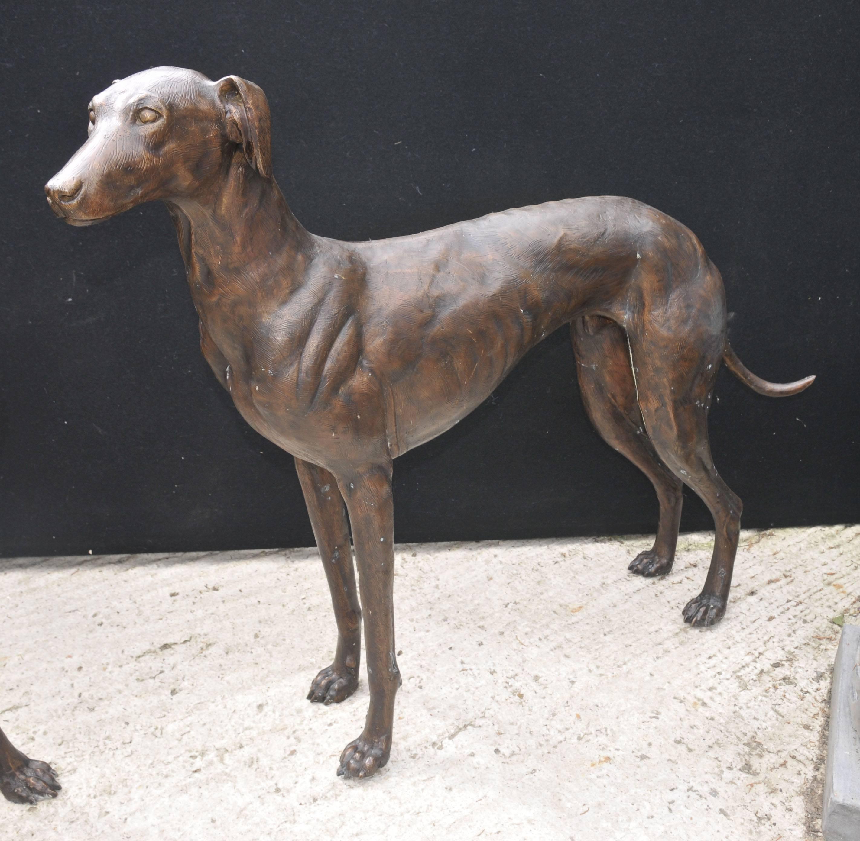 Pair of Lifesize Bronze Greyhounds Art Deco Dogs For Sale 4