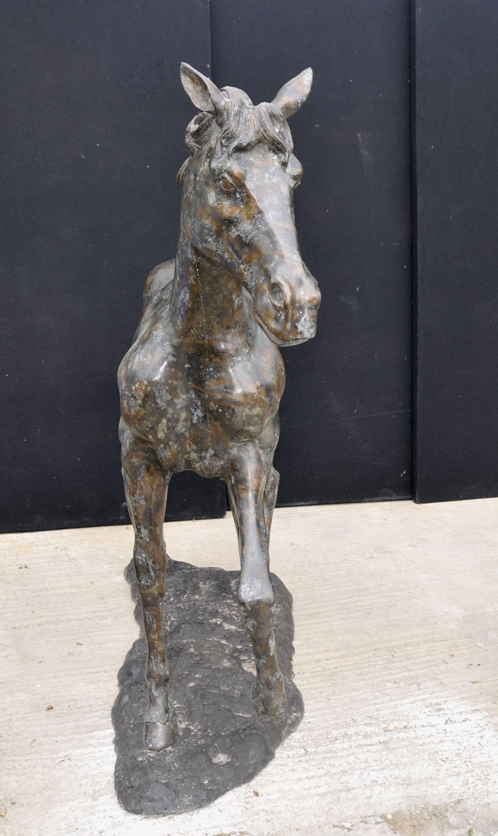 Large French Bronze Horse Pony Statue Casting Verdis Gris Colt For Sale 2