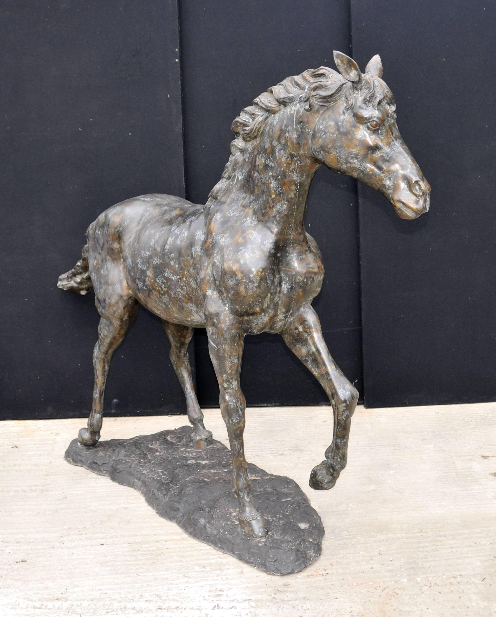Gorgeous French bronze horse or pony statue.
Stands in at just over five feet (160 CM) tall so you could call this lifesize as a pony.
Love the patina to the verdis gris bronze with dappled brown, white and grey affects against the 

horse's