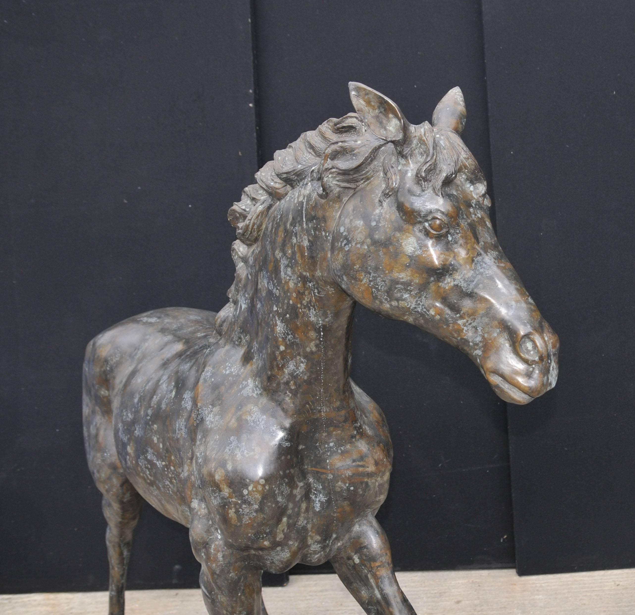 Large French Bronze Horse Pony Statue Casting Verdis Gris Colt In Good Condition For Sale In Potters Bar, Herts
