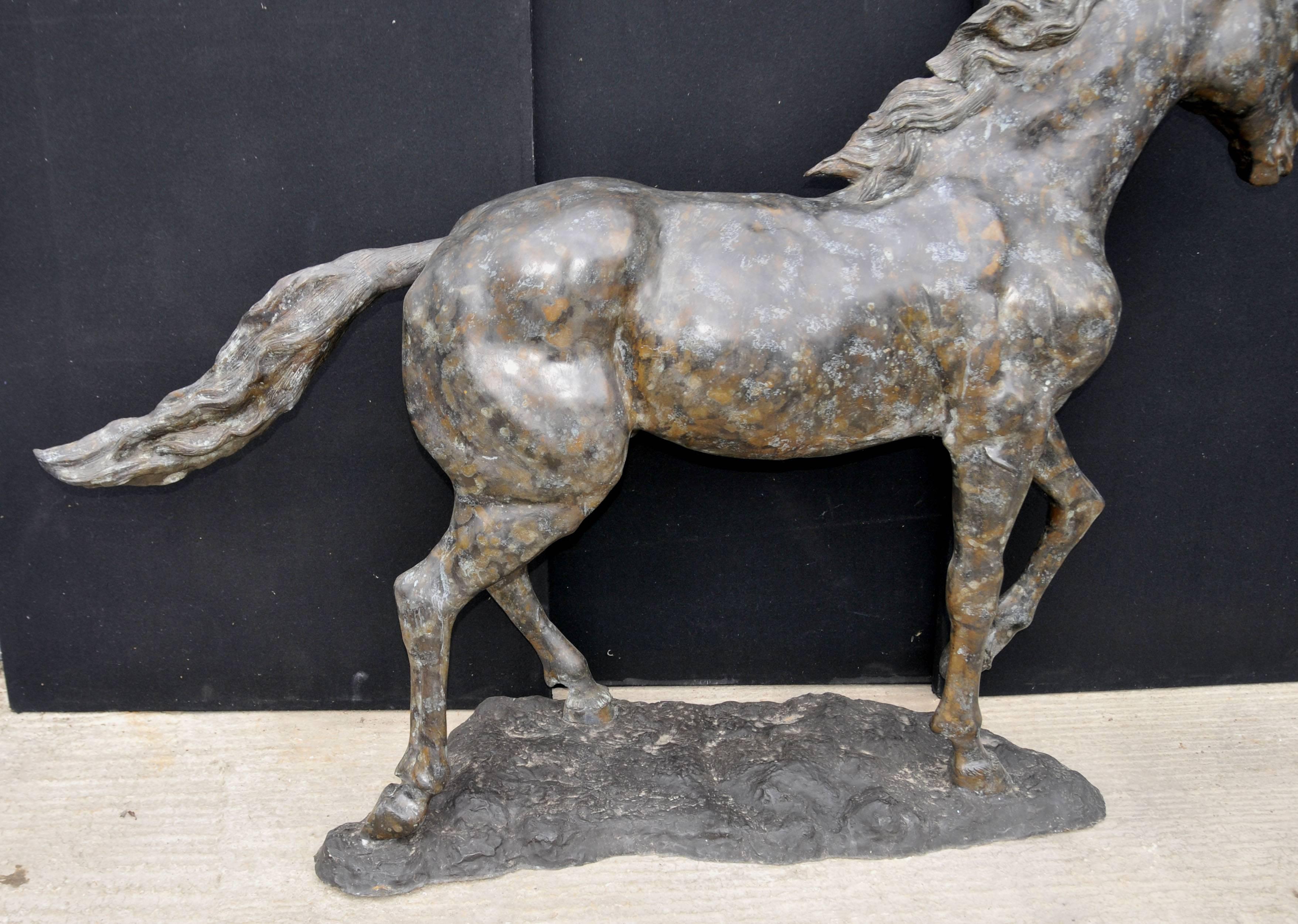 Large French Bronze Horse Pony Statue Casting Verdis Gris Colt For Sale 3