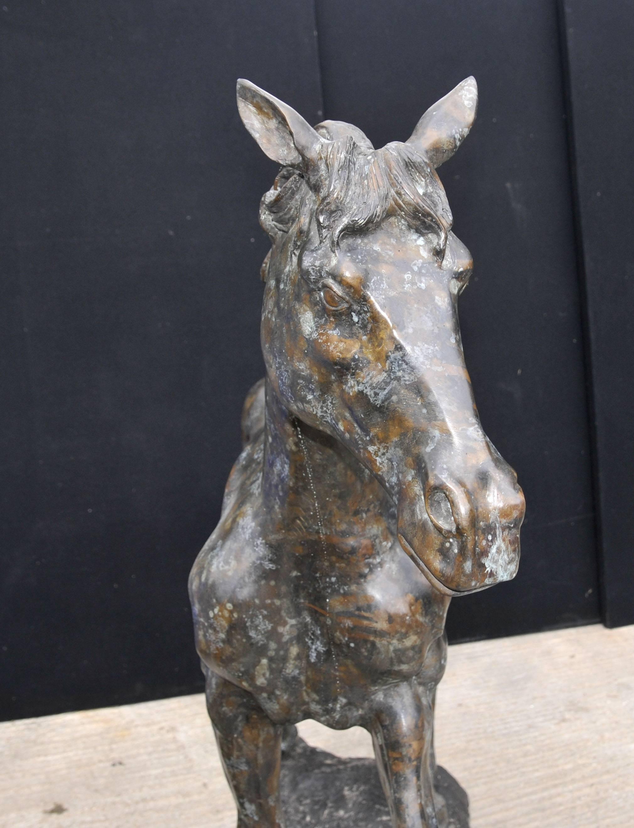 Late 20th Century Large French Bronze Horse Pony Statue Casting Verdis Gris Colt For Sale