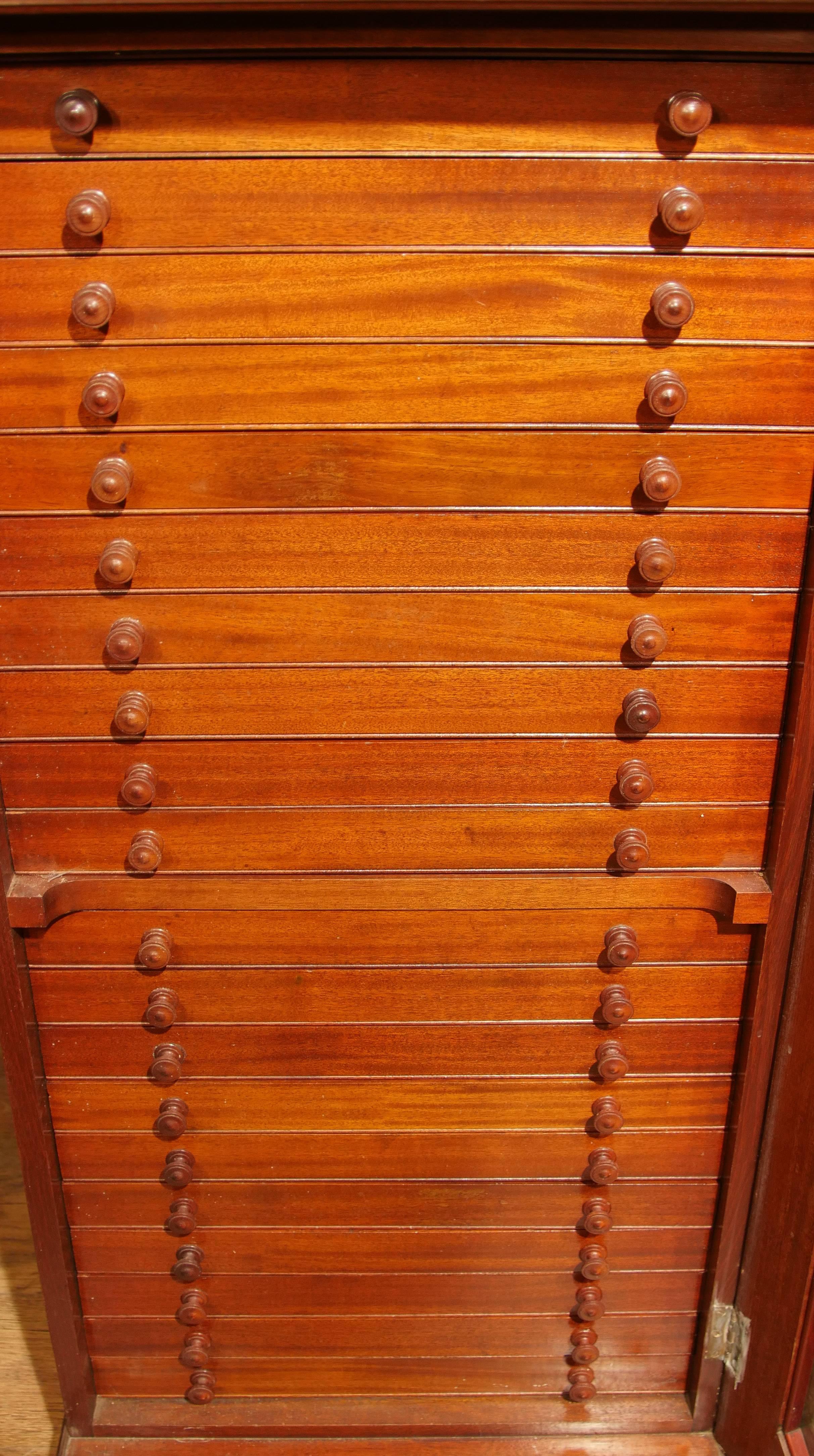 Antique Victorian Walnut Specimen Cabinet Chest Interiors Salvage For Sale 3