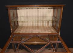 Antique Edwardian Display China Cabinet Mahogany Satinwood Chest