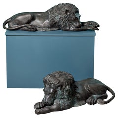 Antique Pair of Bronze Statutory Lions in the Manner of Antonio Canova