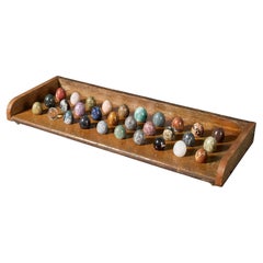 Collection of Polished Hardstone Mineral Display Eggs