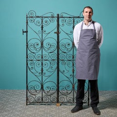 Set of Rare Georgian Wrought Iron Pedestrian Gates