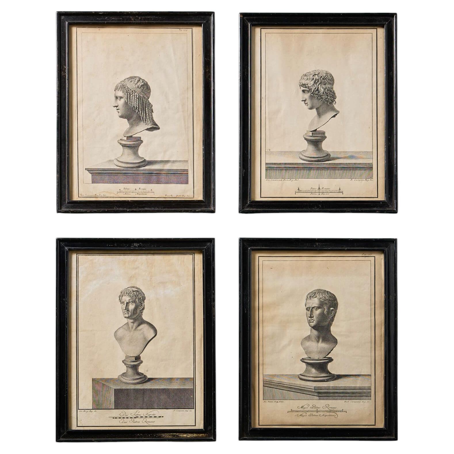 Pietro Campana (1727-1765) – Série de 4 gravures de bustes du Grand Tour, encadrées et sous verre en vente