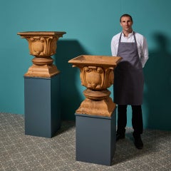 Pair of Decorative Victorian English Buff Terracotta Garden Urns