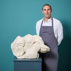 Large Scale Fossil Matrix Plate Of Saint-Jacques Pecten Scallop Shells
