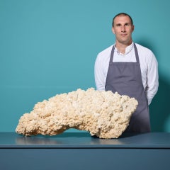 Großformatiges Exemplar aus naturweißem Aragonit