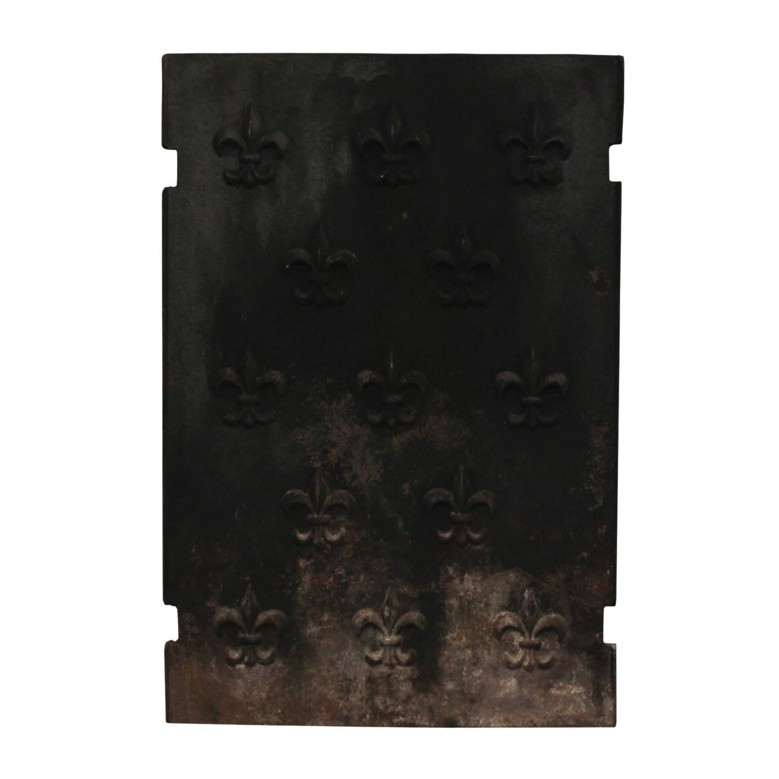 Cast Iron Fleur De Lis Fireplace Liner, 19th Century For Sale 1