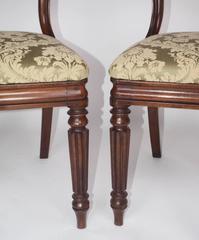 Pair of George IV Mahogany Chairs