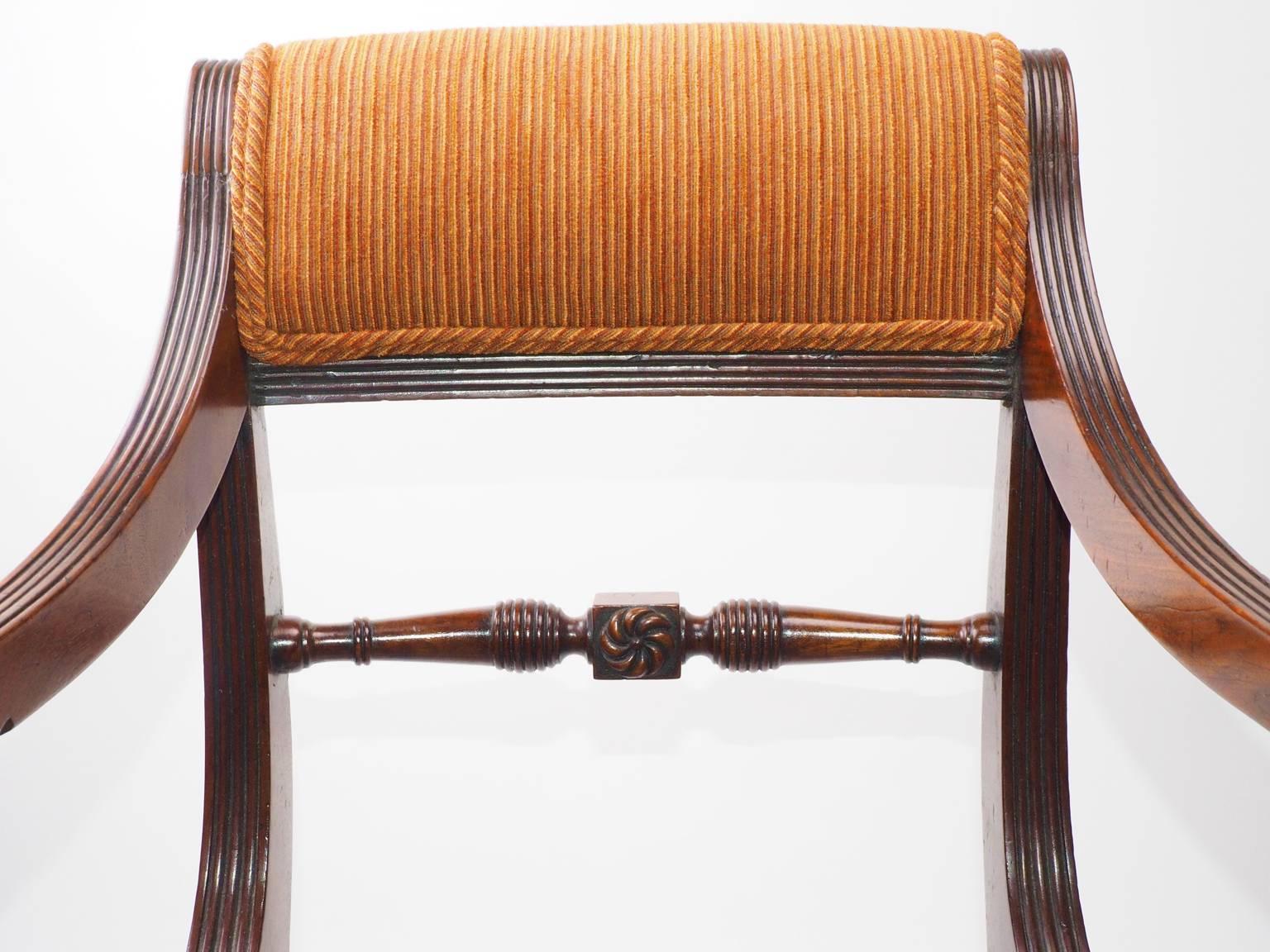 Cane Regency Sabre Legged Mahogany Elbow Chair For Sale