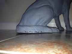 Escultura "Perro rata" en fibra de vidrio de Finn Stone