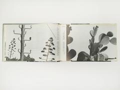 Agnès Varda la côte d'azur d'azur d'azur