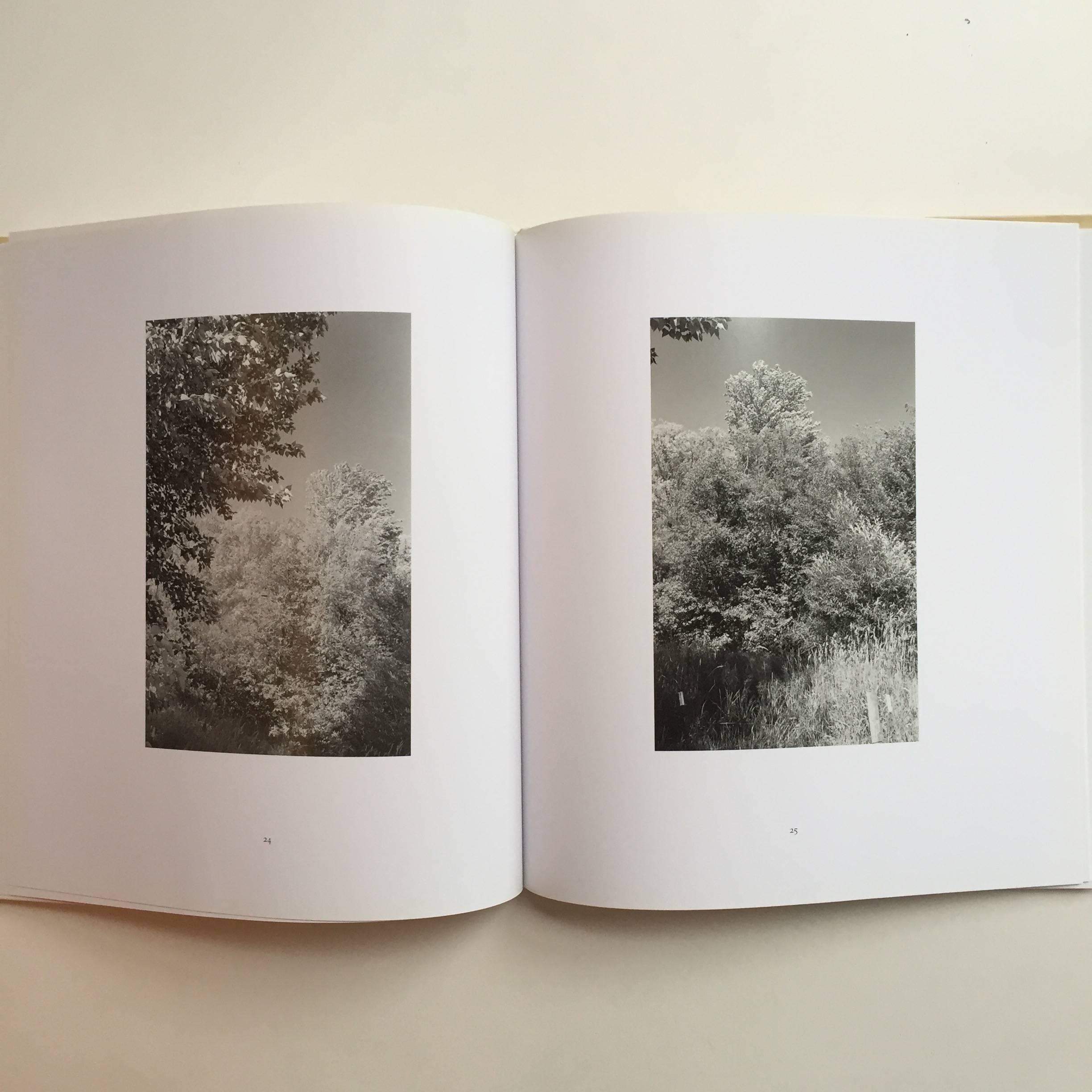 American Pine Valley - Robert Adams - Signed 1st Edition, Nazraeli Press, 2005 For Sale