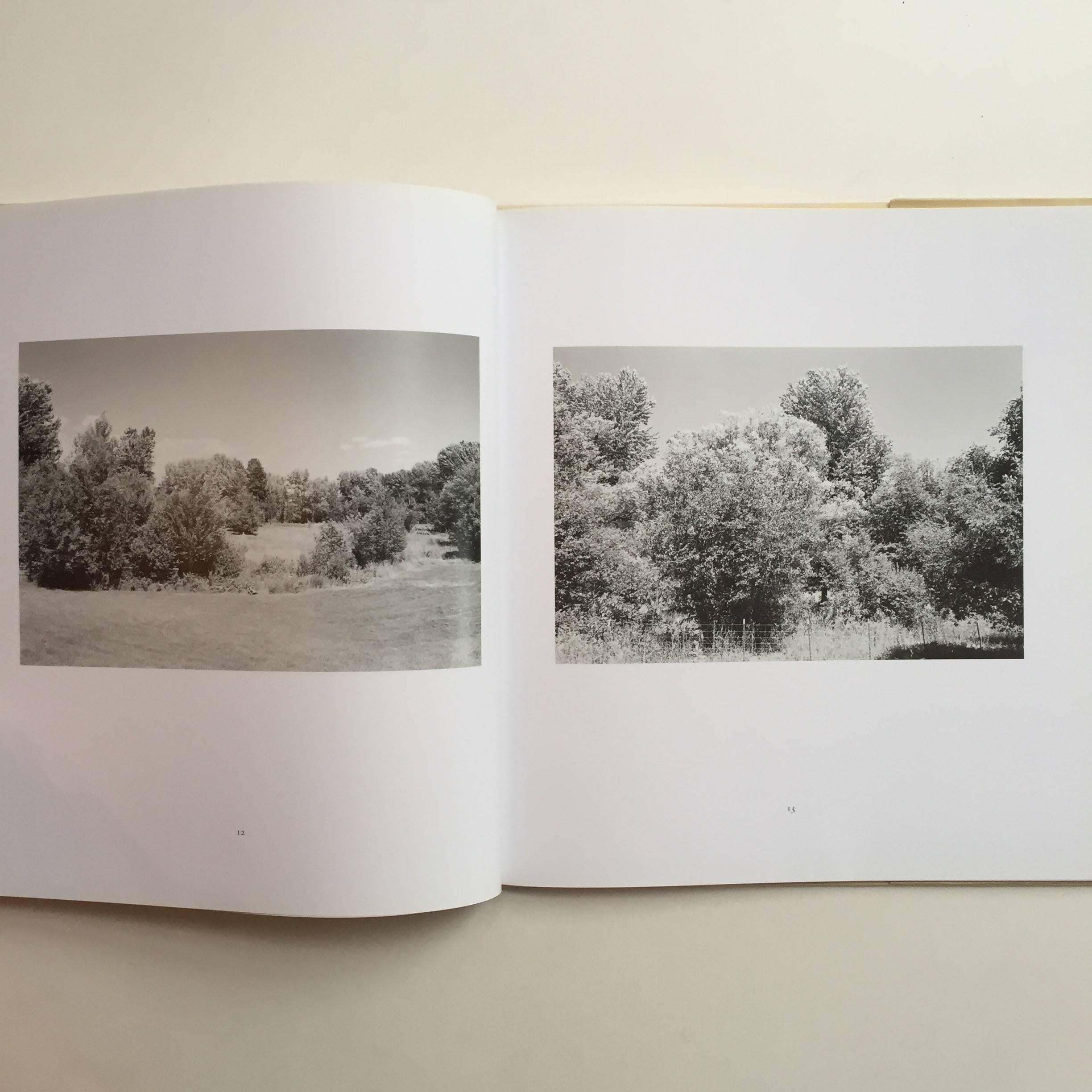 Pine Valley - Robert Adams - Signed 1st Edition, Nazraeli Press, 2005 In Good Condition For Sale In London, GB