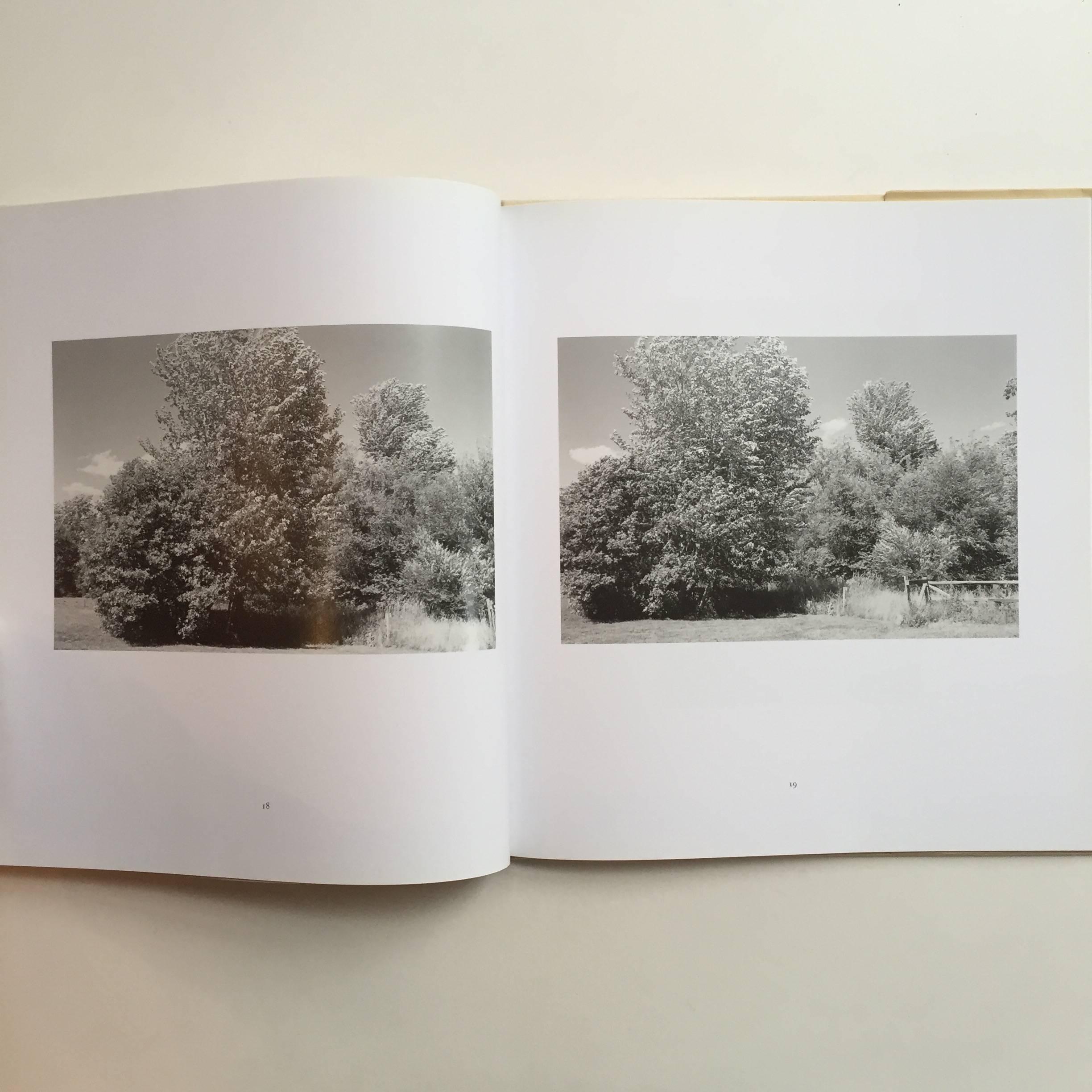 Contemporary Pine Valley - Robert Adams - Signed 1st Edition, Nazraeli Press, 2005 For Sale