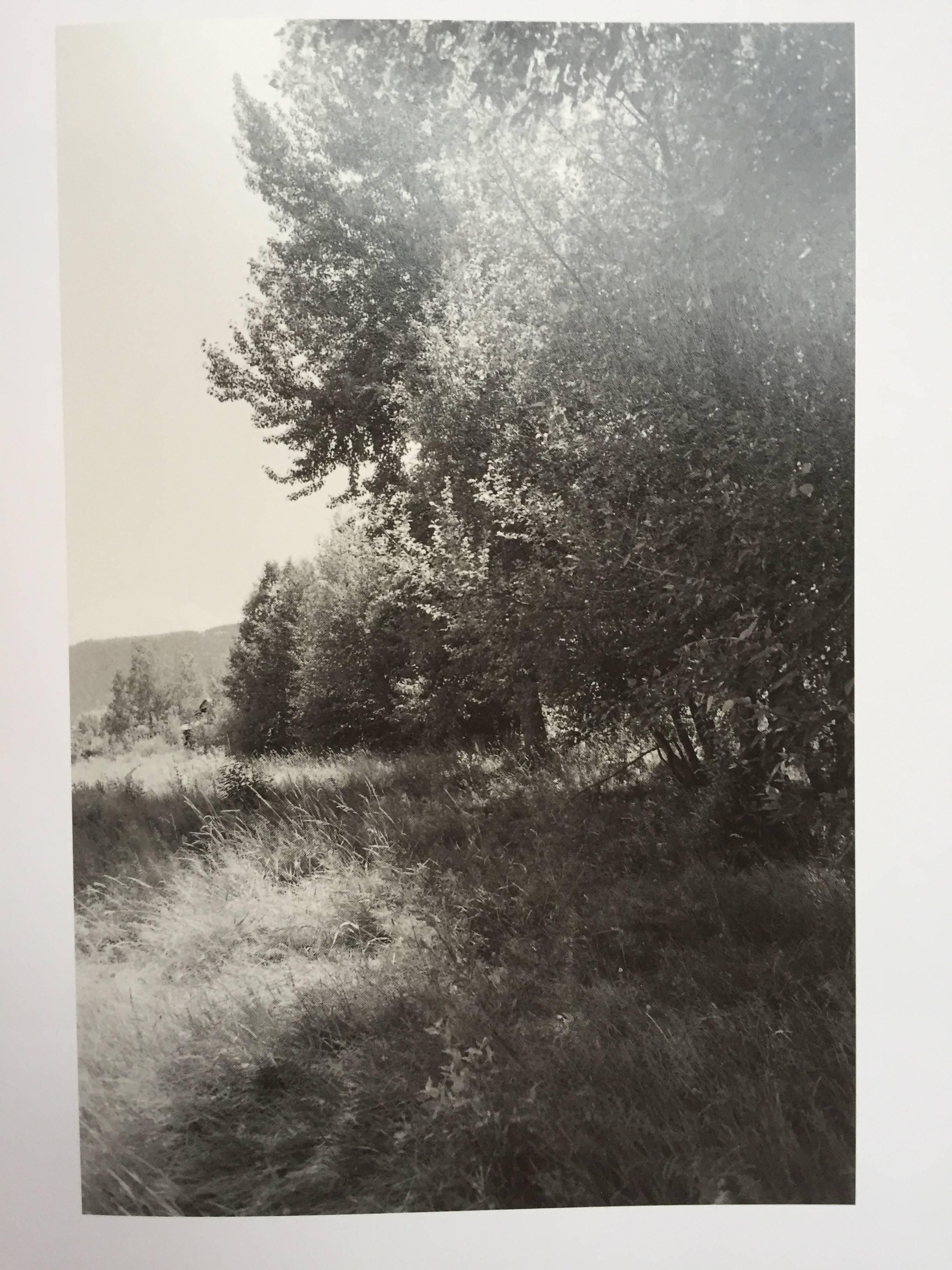Papier La vallée de la pin - Robert Adams - 1ère édition signée, Nazraeli Press, 2005 en vente