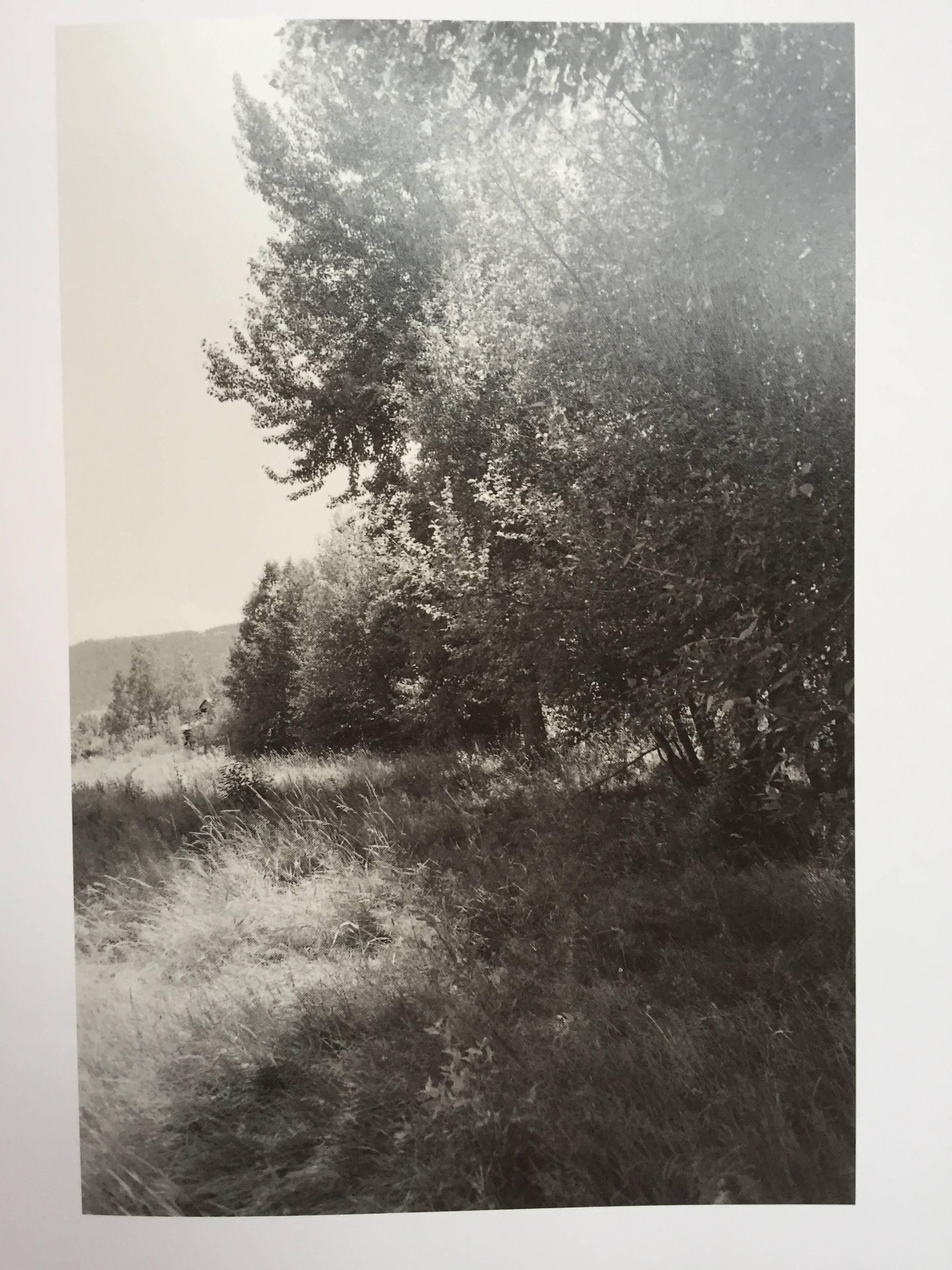 Paper Pine Valley - Robert Adams - Signed 1st Edition, Nazraeli Press, 2005