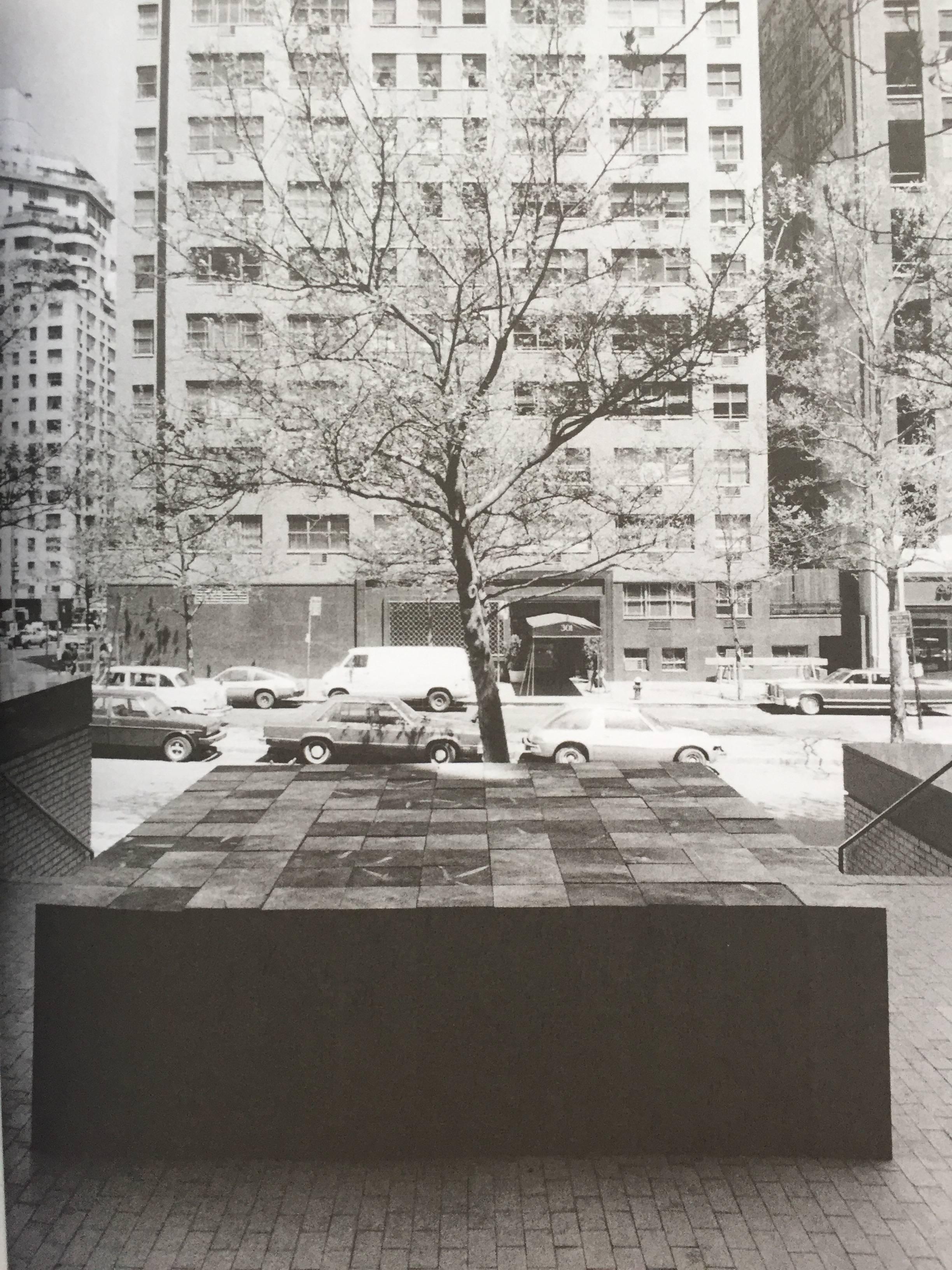 20th Century Sculpture as Place, Carl Andre