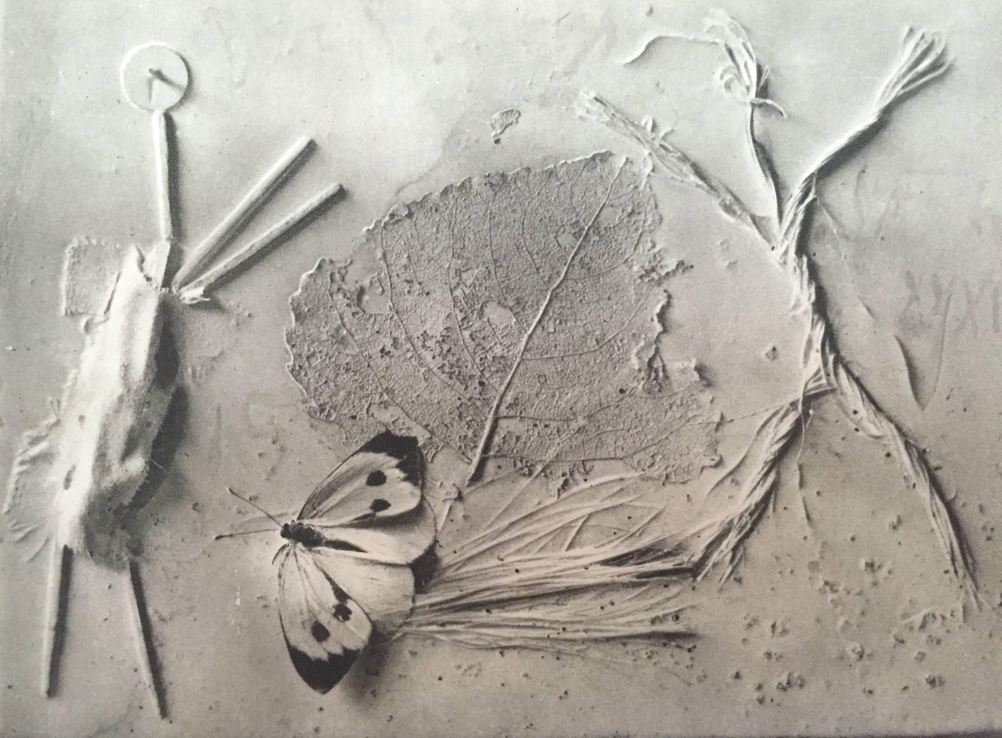 The Sculptures of Picasso Photographs by Brassaï 1949 1st ed. In Good Condition In CA, CA