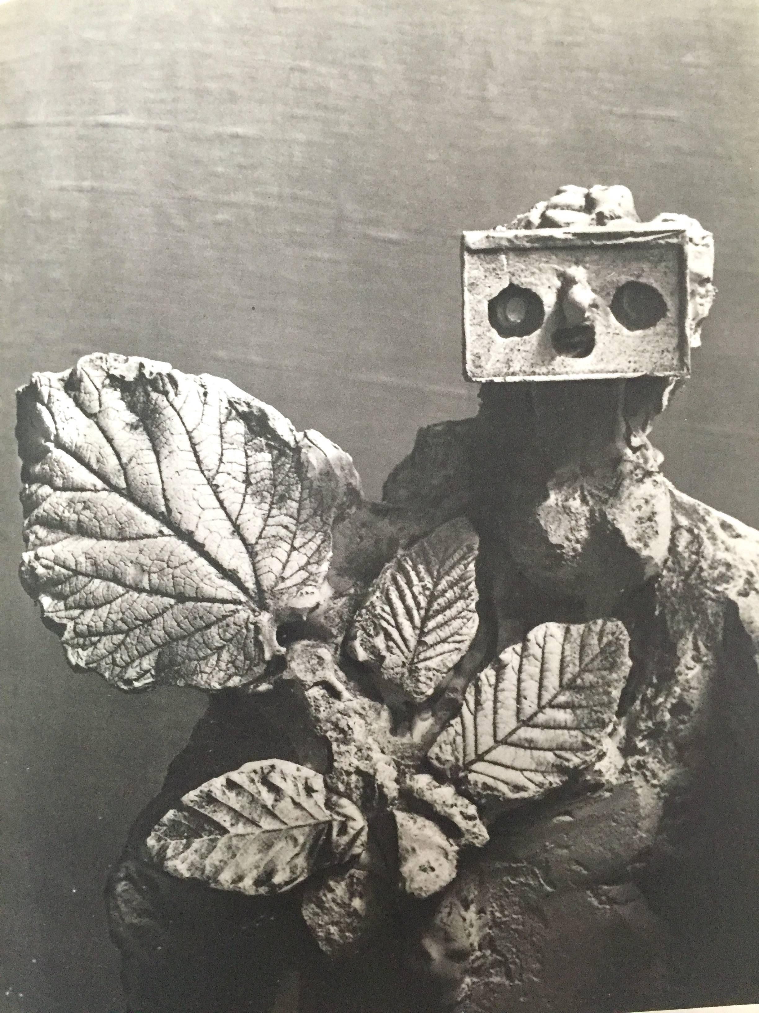 brassai picasso