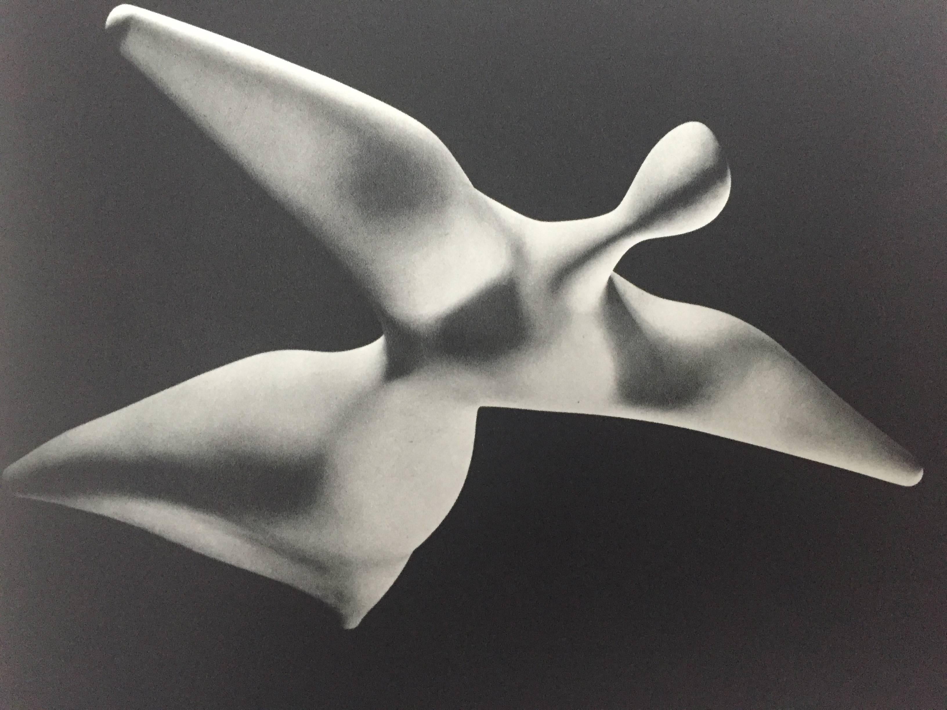 Isamu Noguchi, A Sculptor's World - 1967 In Excellent Condition In CA, CA