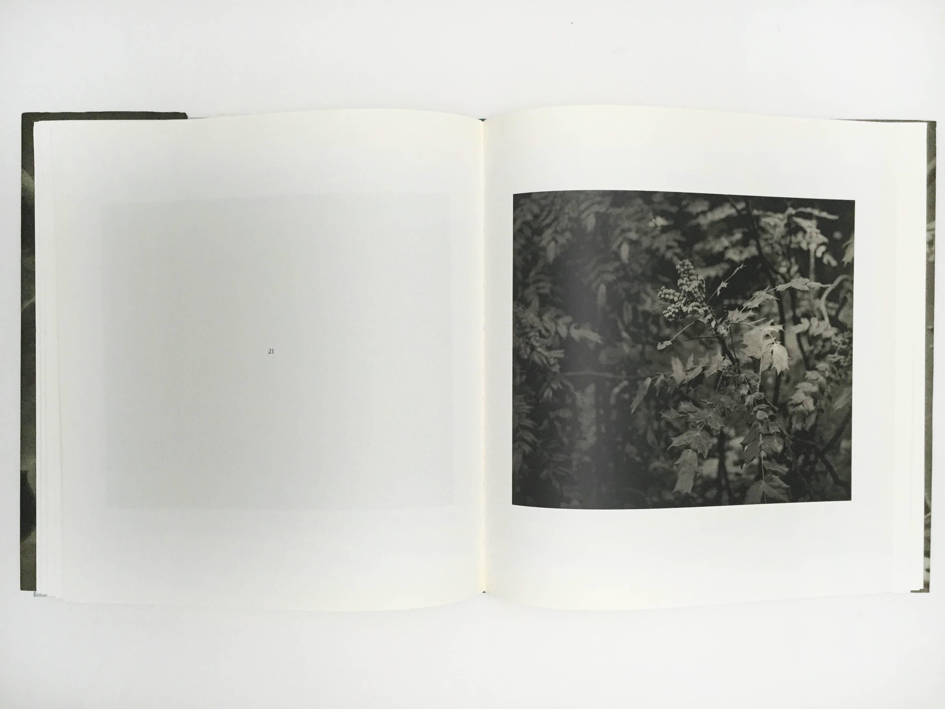 20th Century Entrada Drive, Jim Dine, Signed First Edition, Steidl, Göttingen, 2005