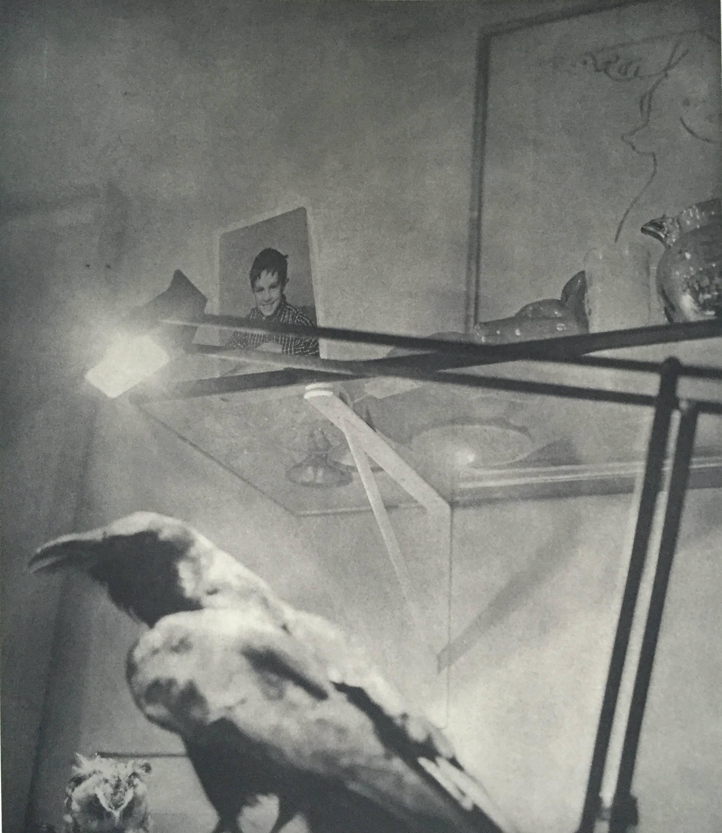 First edition, published by Steidl, 2001.

The result of a childhood memory, which he describes in the first pages of this book, Jim Dine presents a series of extraordinary black and white photographs depicting various birds. With 36 images