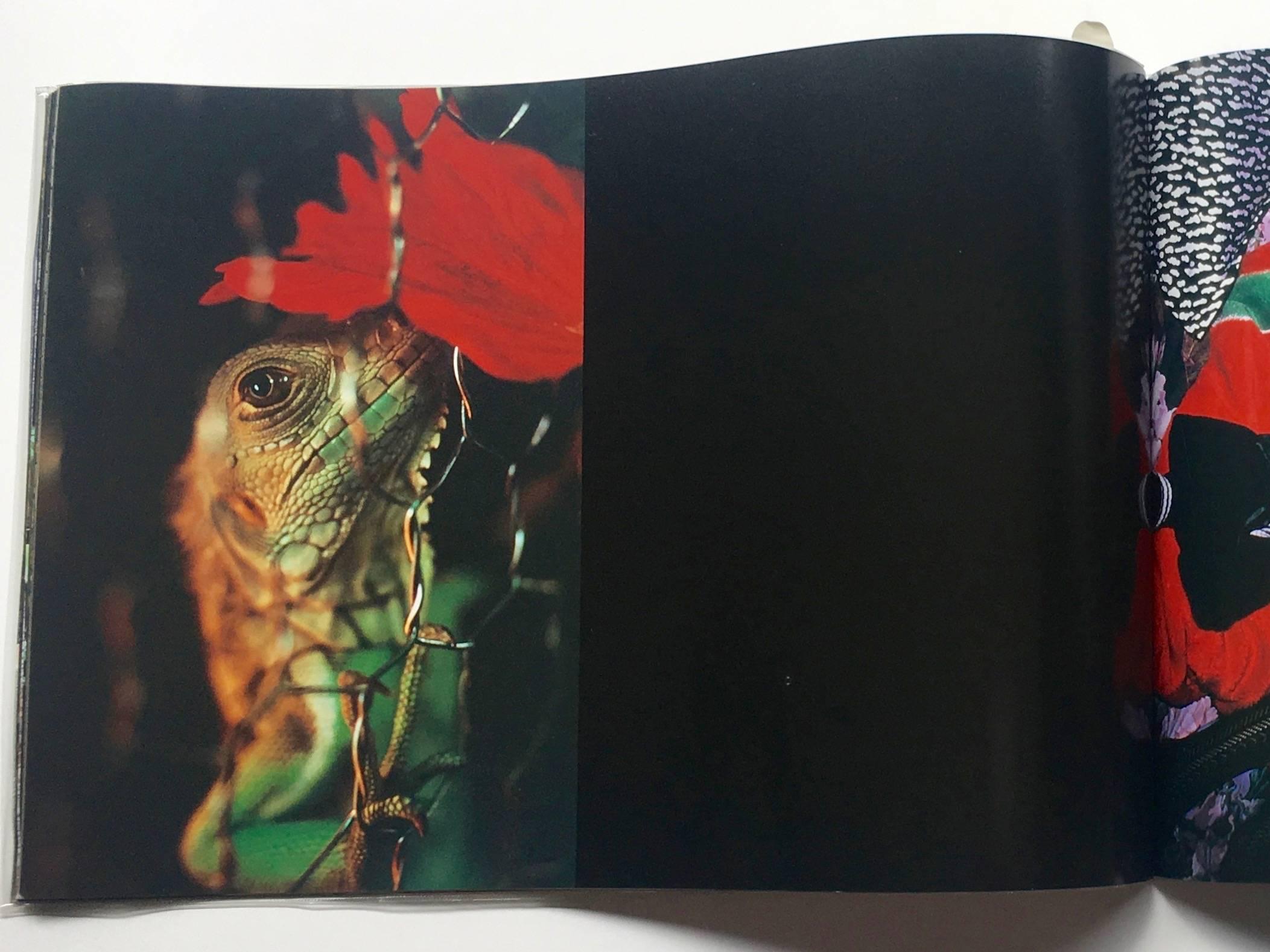 Japanese Keiko Nomura, Deep South Book, 1999 For Sale