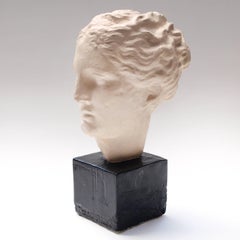 Plaster Bust of a Roman Empress