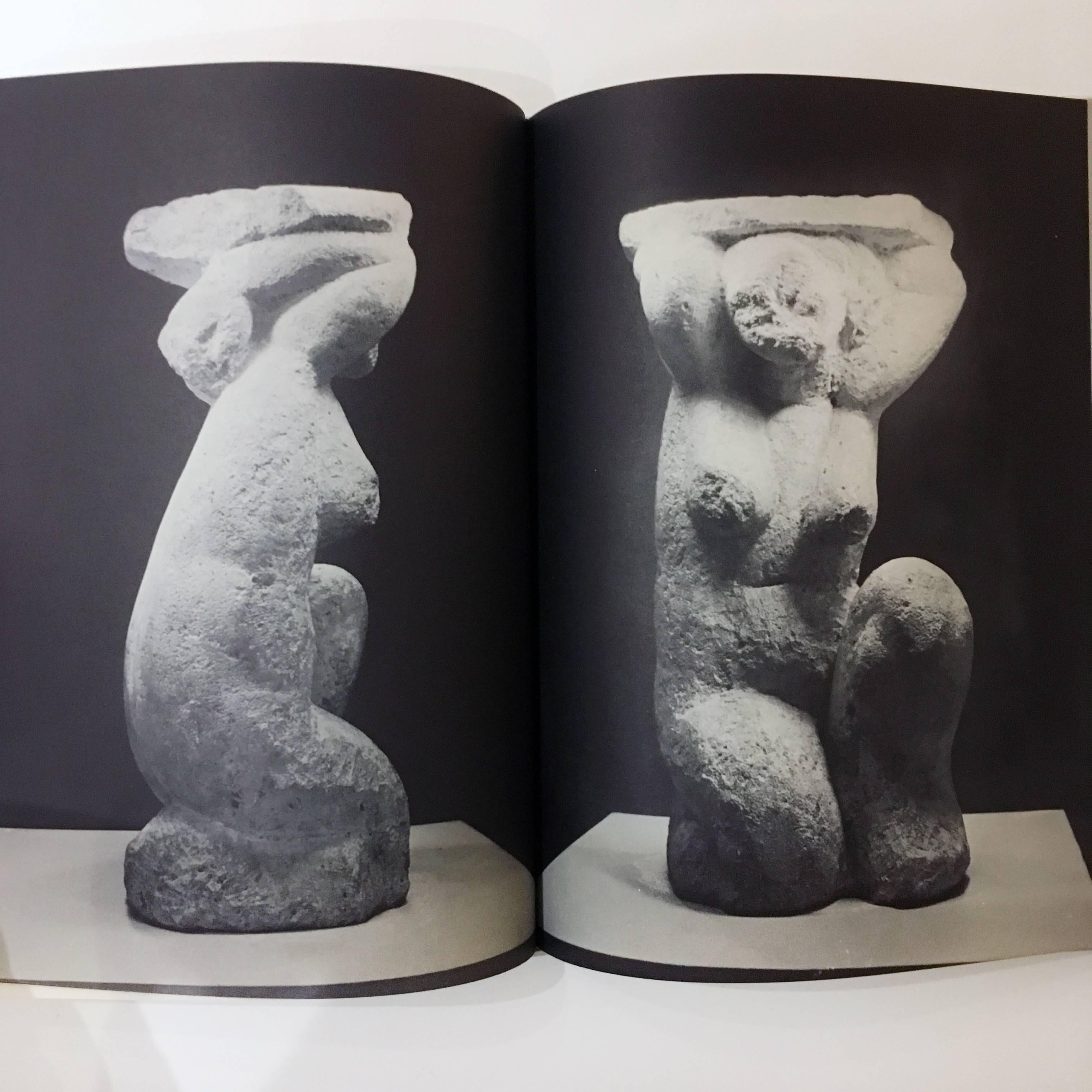 American Modigliani the Sculptor, Book